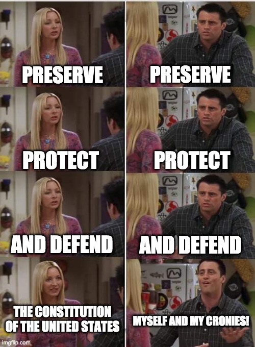 Phoebe Joey | PRESERVE PRESERVE PROTECT PROTECT AND DEFEND AND DEFEND MYSELF AND MY CRONIES! THE CONSTITUTION OF THE UNITED STATES | image tagged in phoebe joey | made w/ Imgflip meme maker