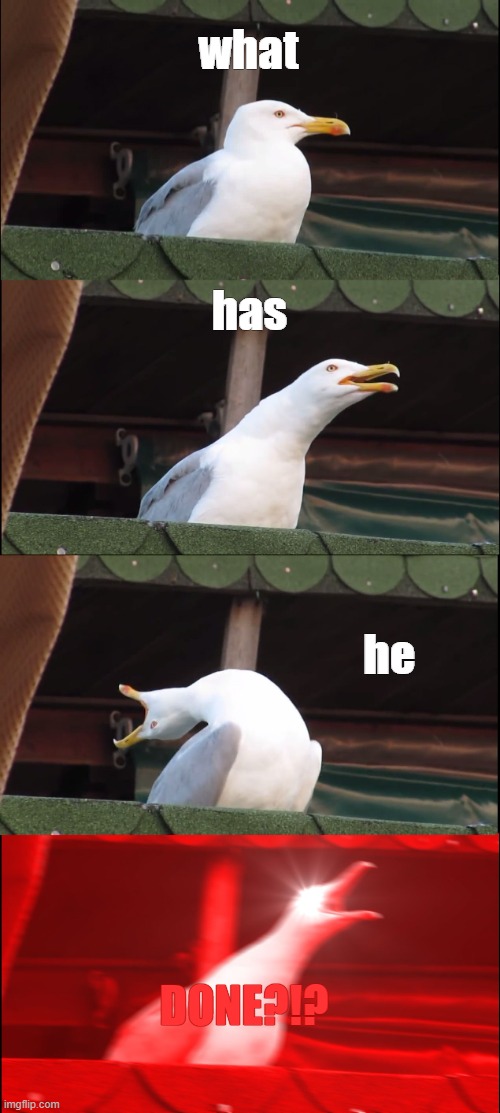 Inhaling Seagull Meme | what has he DONE?!? | image tagged in memes,inhaling seagull | made w/ Imgflip meme maker