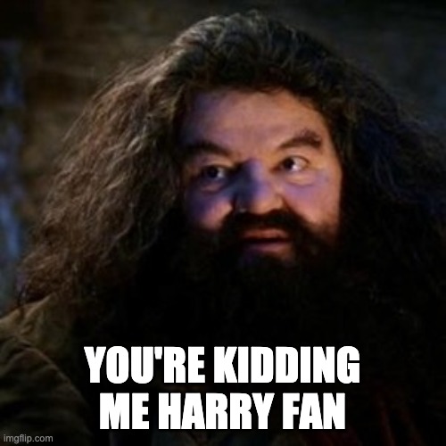 You're a wizard harry | YOU'RE KIDDING ME HARRY FAN | image tagged in you're a wizard harry | made w/ Imgflip meme maker