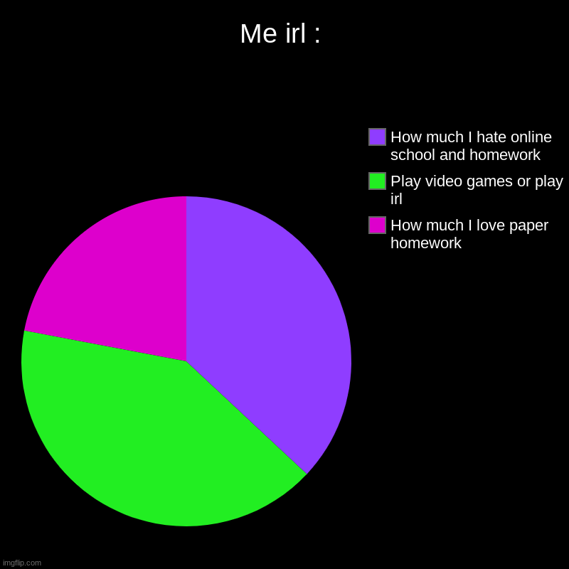School ands real lifes | Me irl : | How much I love paper homework, Play video games or play irl, How much I hate online school and homework | image tagged in charts,pie charts | made w/ Imgflip chart maker