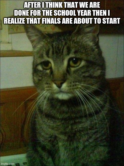 Depressed Cat | AFTER I THINK THAT WE ARE DONE FOR THE SCHOOL YEAR THEN I REALIZE THAT FINALS ARE ABOUT TO START | image tagged in memes,depressed cat | made w/ Imgflip meme maker