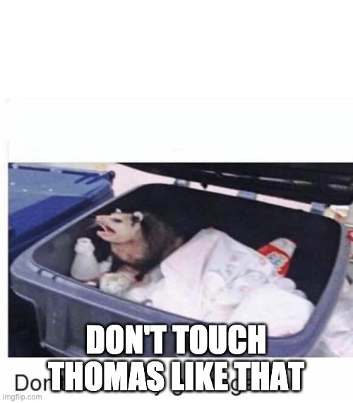 Don't touch my garbage | DON'T TOUCH THOMAS LIKE THAT | image tagged in don't touch my garbage | made w/ Imgflip meme maker