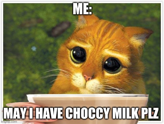 Shrek Cat |  ME:; MAY I HAVE CHOCCY MILK PLZ | image tagged in memes,shrek cat,so true memes | made w/ Imgflip meme maker