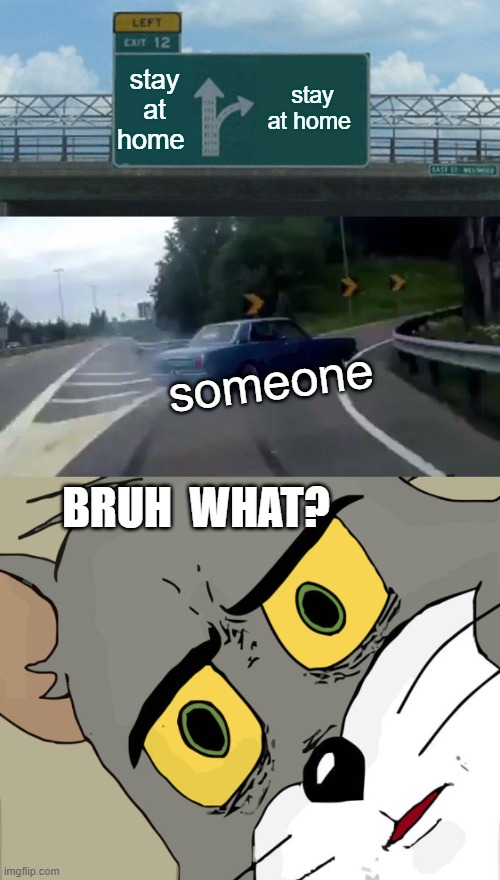 stay at home; stay at home; someone; BRUH  WHAT? | image tagged in memes,left exit 12 off ramp | made w/ Imgflip meme maker