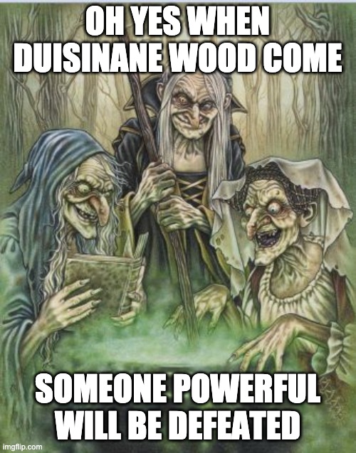 Macbeth Witches | OH YES WHEN DUISINANE WOOD COME SOMEONE POWERFUL WILL BE DEFEATED | image tagged in macbeth witches | made w/ Imgflip meme maker