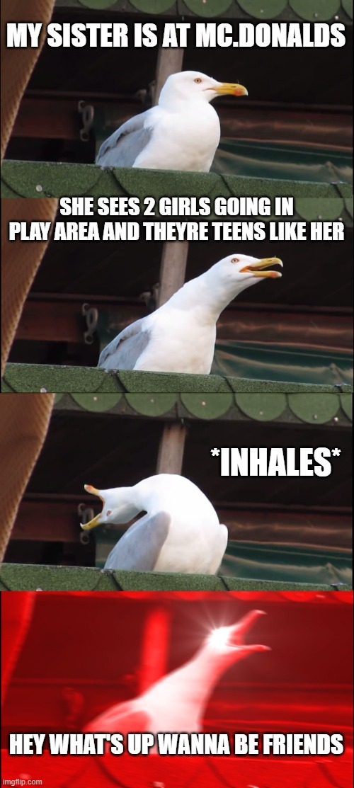 this is acurate I must say | MY SISTER IS AT MC.DONALDS; SHE SEES 2 GIRLS GOING IN PLAY AREA AND THEYRE TEENS LIKE HER; *INHALES*; HEY WHAT'S UP WANNA BE FRIENDS | image tagged in memes,inhaling seagull | made w/ Imgflip meme maker