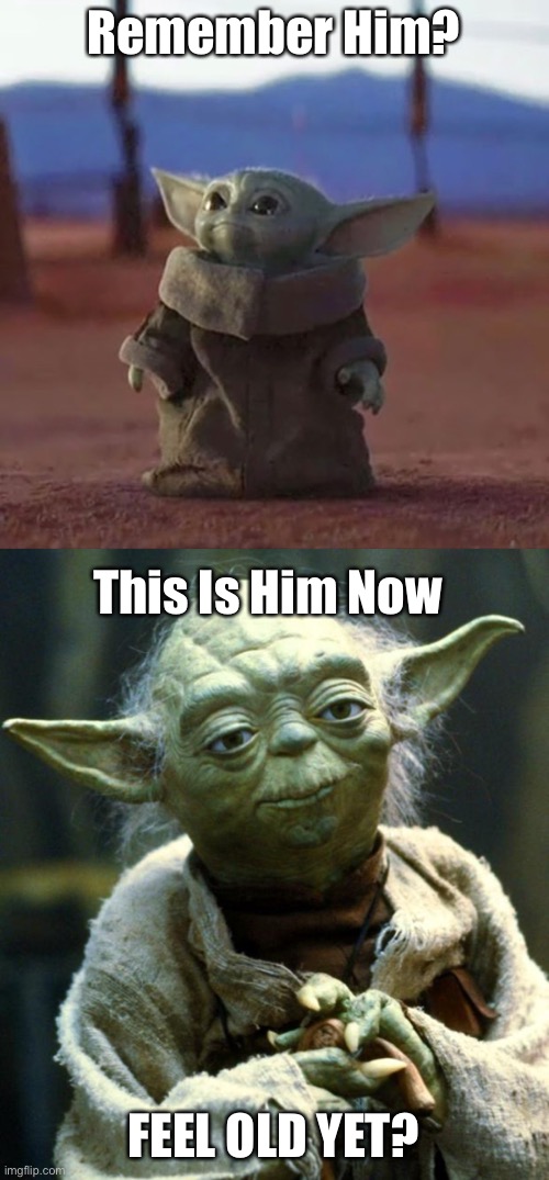 Remember Him? | Remember Him? This Is Him Now; FEEL OLD YET? | image tagged in baby yoda,memes,star wars yoda | made w/ Imgflip meme maker