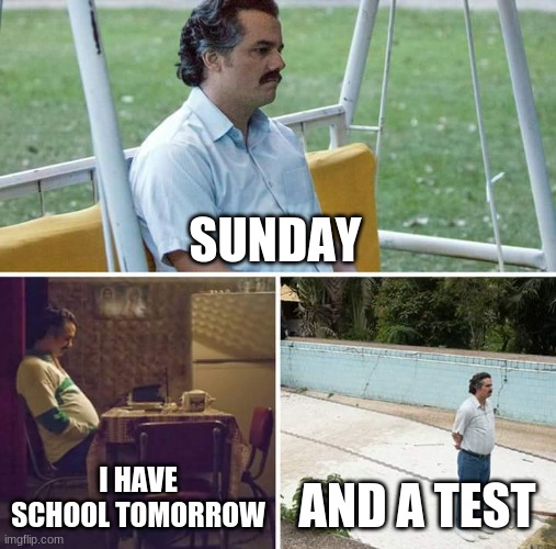 Sad Pablo Escobar | SUNDAY; I HAVE SCHOOL TOMORROW; AND A TEST | image tagged in memes,sad pablo escobar | made w/ Imgflip meme maker