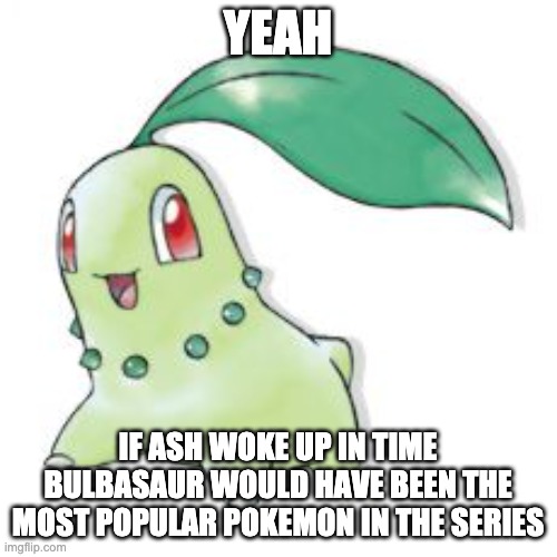 Chikorita | YEAH IF ASH WOKE UP IN TIME BULBASAUR WOULD HAVE BEEN THE MOST POPULAR POKEMON IN THE SERIES | image tagged in chikorita | made w/ Imgflip meme maker
