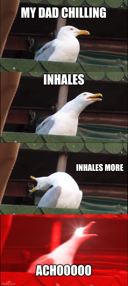 my dads snezing | MY DAD CHILLING; INHALES; INHALES MORE; ACHOOOOO | image tagged in memes,inhaling seagull | made w/ Imgflip meme maker