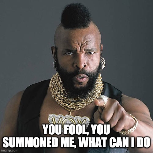 Mr T Pity The Fool Meme | YOU FOOL, YOU SUMMONED ME, WHAT CAN I DO | image tagged in memes,mr t pity the fool | made w/ Imgflip meme maker