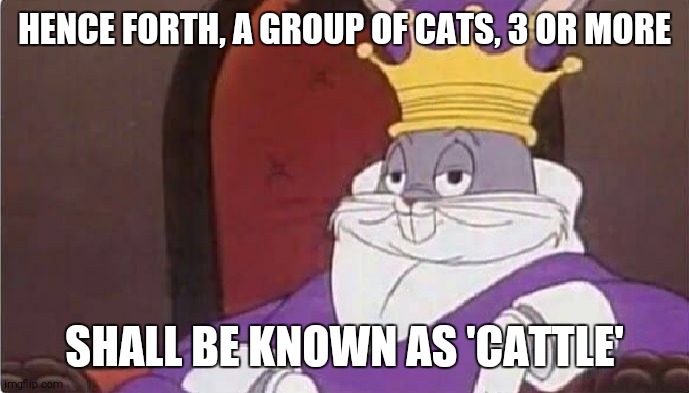 Bugs Bunny King | HENCE FORTH, A GROUP OF CATS, 3 OR MORE; SHALL BE KNOWN AS 'CATTLE' | image tagged in bugs bunny king | made w/ Imgflip meme maker