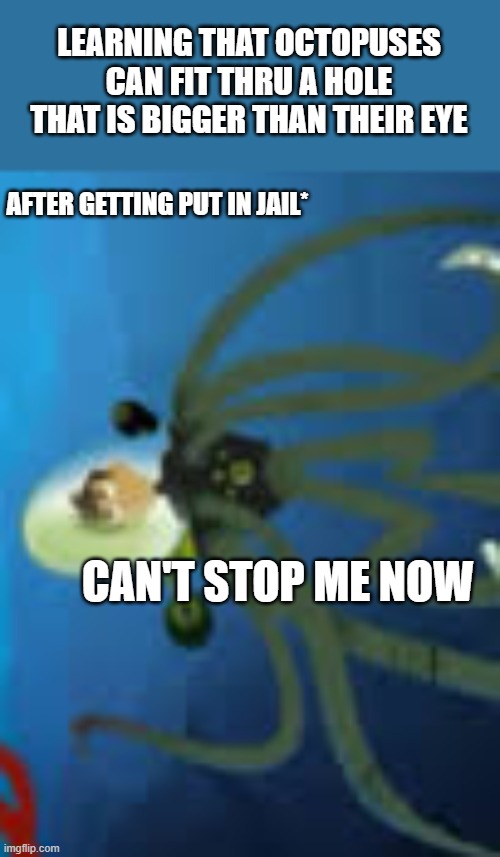 LEARNING THAT OCTOPUSES CAN FIT THRU A HOLE THAT IS BIGGER THAN THEIR EYE; AFTER GETTING PUT IN JAIL*; CAN'T STOP ME NOW | image tagged in jail | made w/ Imgflip meme maker