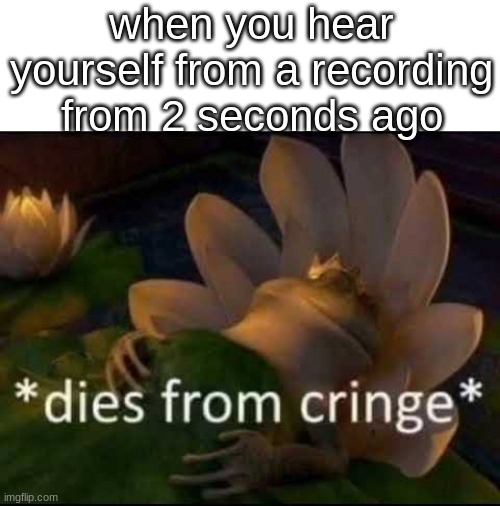 oof | when you hear yourself from a recording from 2 seconds ago | image tagged in relatable | made w/ Imgflip meme maker