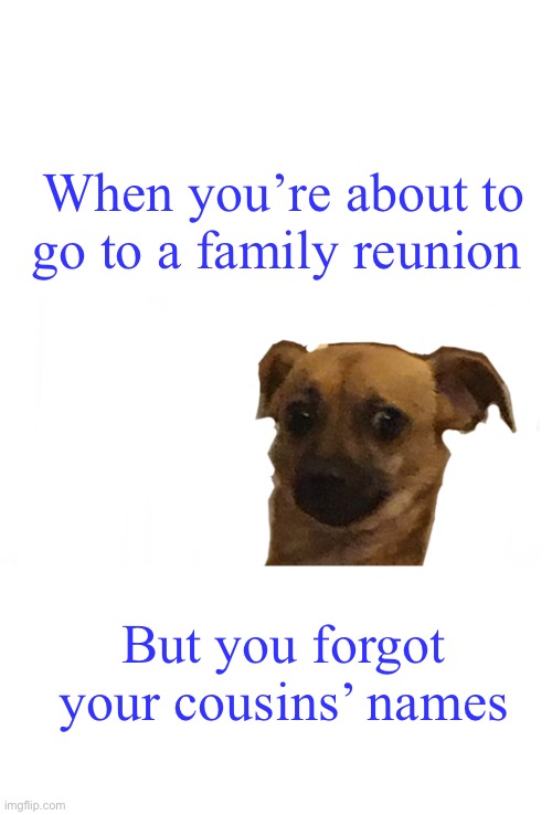 Concerned doggo | When you’re about to go to a family reunion; But you forgot your cousins’ names | image tagged in concerned doggo | made w/ Imgflip meme maker