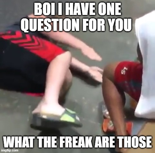 WHAT ARE THOSE | BOI I HAVE ONE QUESTION FOR YOU; WHAT THE FREAK ARE THOSE | image tagged in what are those | made w/ Imgflip meme maker