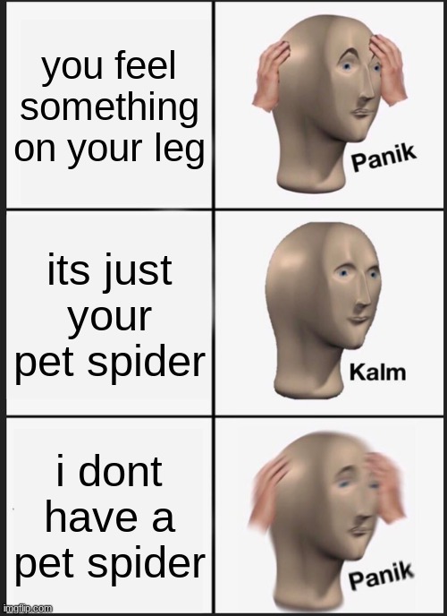 meems | you feel something on your leg; its just your pet spider; i dont have a pet spider | image tagged in memes,panik kalm panik,spider,funny | made w/ Imgflip meme maker