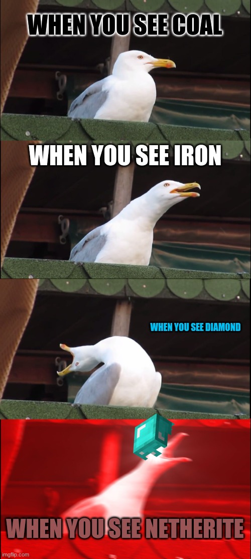 Inhaling Seagull Meme | WHEN YOU SEE COAL; WHEN YOU SEE IRON; WHEN YOU SEE DIAMOND; WHEN YOU SEE NETHERITE | image tagged in memes,inhaling seagull | made w/ Imgflip meme maker