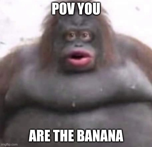 yum rewal | POV YOU; ARE THE BANANA | image tagged in le monke | made w/ Imgflip meme maker