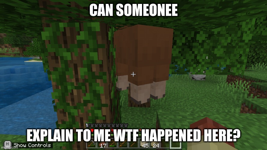 wtf | CAN SOMEONEE; EXPLAIN TO ME WTF HAPPENED HERE? | image tagged in meme,minecraft | made w/ Imgflip meme maker