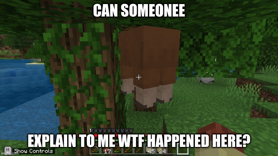 wtf |  CAN SOMEONEE; EXPLAIN TO ME WTF HAPPENED HERE? | image tagged in meme,minecraft | made w/ Imgflip meme maker