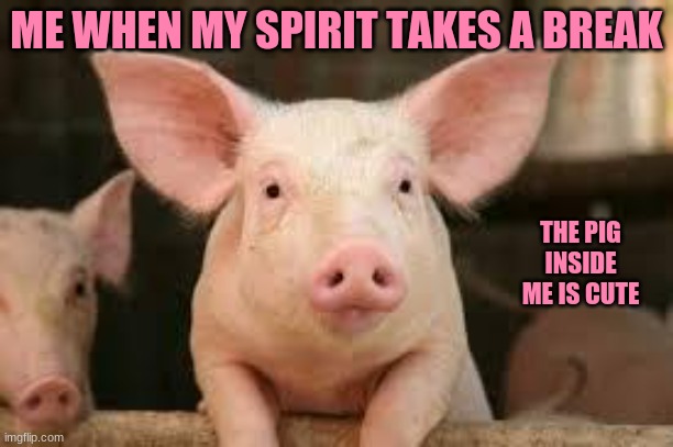 when my fav animal takes control | ME WHEN MY SPIRIT TAKES A BREAK; THE PIG INSIDE ME IS CUTE | image tagged in pig | made w/ Imgflip meme maker
