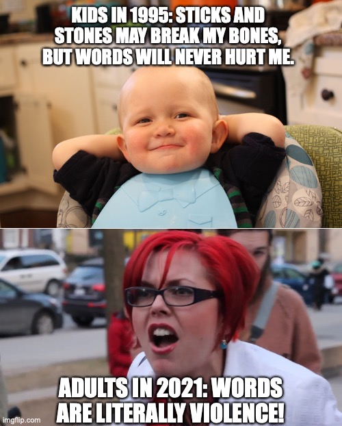 KIDS IN 1995: STICKS AND STONES MAY BREAK MY BONES, BUT WORDS WILL NEVER HURT ME. ADULTS IN 2021: WORDS ARE LITERALLY VIOLENCE! | image tagged in sjw,words | made w/ Imgflip meme maker