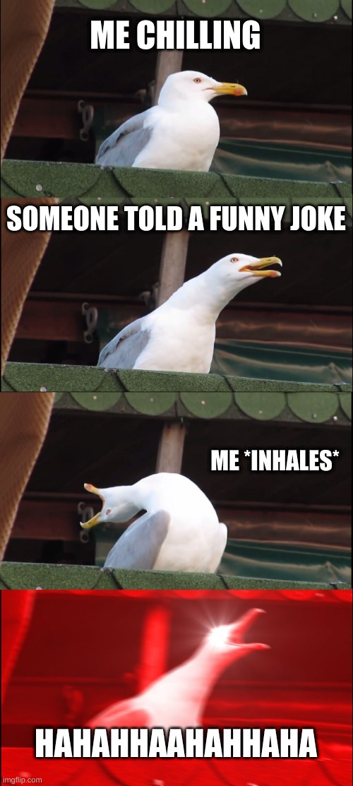 me irl | ME CHILLING; SOMEONE TOLD A FUNNY JOKE; ME *INHALES*; HAHAHHAAHAHHAHA | image tagged in memes,inhaling seagull,lol,jokes | made w/ Imgflip meme maker