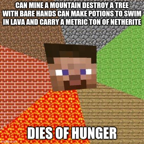 Minecraft Steve | CAN MINE A MOUNTAIN DESTROY A TREE WITH BARE HANDS CAN MAKE POTIONS TO SWIM IN LAVA AND CARRY A METRIC TON OF NETHERITE; DIES OF HUNGER | image tagged in minecraft steve | made w/ Imgflip meme maker