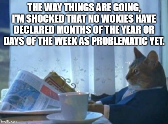 And now that I've thought this, I'm a bit scared... | THE WAY THINGS ARE GOING, I'M SHOCKED THAT NO WOKIES HAVE DECLARED MONTHS OF THE YEAR OR DAYS OF THE WEEK AS PROBLEMATIC YET. | image tagged in memes,i should buy a boat cat | made w/ Imgflip meme maker