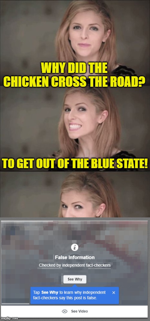 "Independent" fact-checkers bravely fact-checking jokes for your protection! | WHY DID THE CHICKEN CROSS THE ROAD? TO GET OUT OF THE BLUE STATE! | image tagged in memes,bad pun anna kendrick,political meme,fact check | made w/ Imgflip meme maker