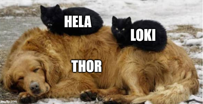 That dog is SO CUTE btw! | HELA; LOKI; THOR | image tagged in thor,loki,dogs,cats | made w/ Imgflip meme maker