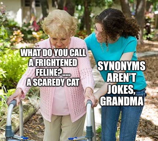 Sure grandma let's get you to bed | WHAT DO YOU CALL
A FRIGHTENED FELINE?.....
A SCAREDY CAT; SYNONYMS AREN’T JOKES, GRANDMA | image tagged in sure grandma let's get you to bed,memes | made w/ Imgflip meme maker