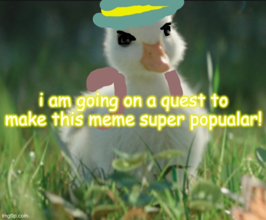 ducks! | i am going on a quest to make this meme super popualar! | made w/ Imgflip meme maker