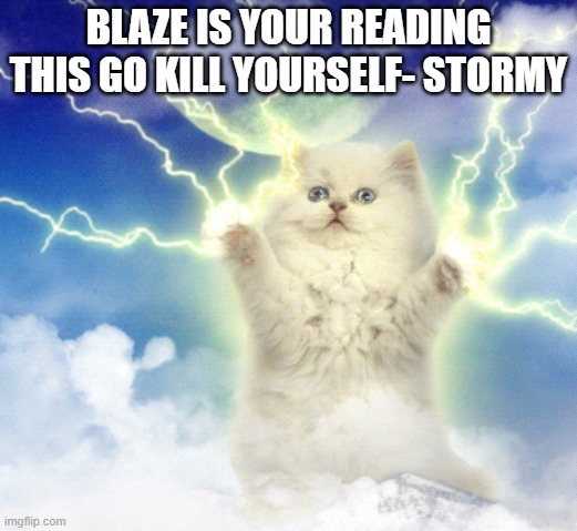 Stormy go brr | BLAZE IS YOUR READING THIS GO KILL YOURSELF- STORMY | image tagged in stormy,zues,cat | made w/ Imgflip meme maker