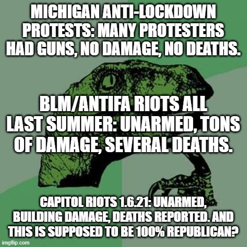 Philosoraptor Meme | MICHIGAN ANTI-LOCKDOWN PROTESTS: MANY PROTESTERS HAD GUNS, NO DAMAGE, NO DEATHS. CAPITOL RIOTS 1.6.21: UNARMED, BUILDING DAMAGE, DEATHS REPO | image tagged in memes,philosoraptor | made w/ Imgflip meme maker