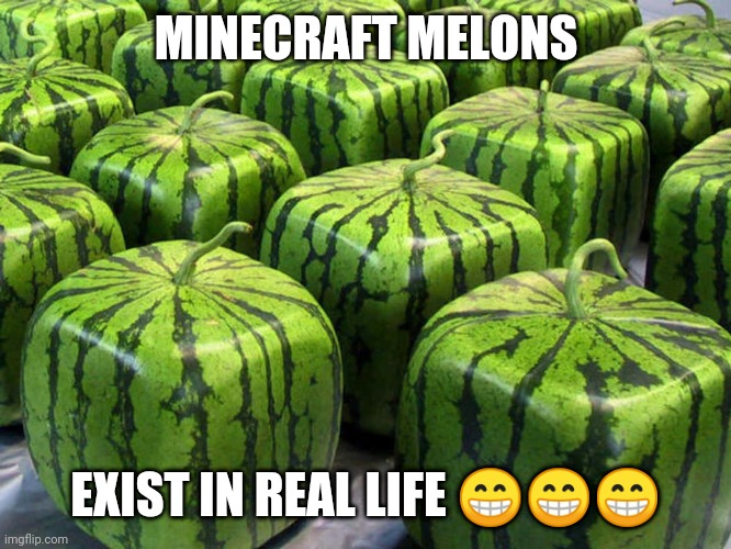Minecraft IRL | MINECRAFT MELONS; EXIST IN REAL LIFE 😁😁😁 | image tagged in minecraft melons | made w/ Imgflip meme maker