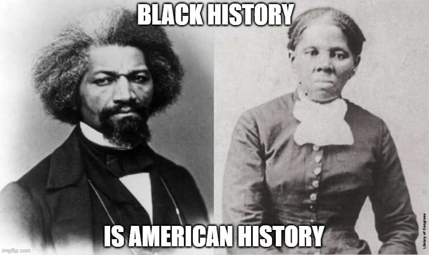 BLACK HISTORY IS AMERICAN HISTORY | image tagged in frederick douglass,harriet tubman | made w/ Imgflip meme maker