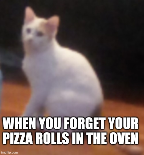 Oh no | WHEN YOU FORGET YOUR PIZZA ROLLS IN THE OVEN | image tagged in pizza rolls | made w/ Imgflip meme maker