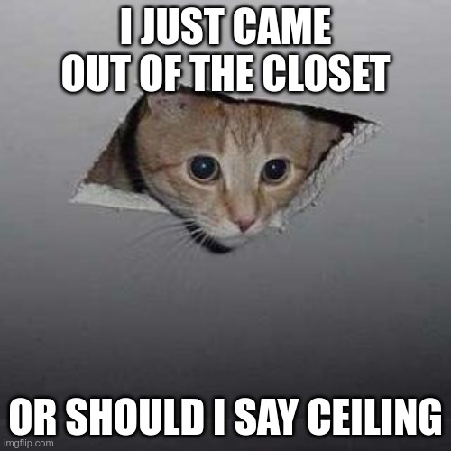 Ceiling Cat | I JUST CAME OUT OF THE CLOSET; OR SHOULD I SAY CEILING | image tagged in memes,ceiling cat | made w/ Imgflip meme maker