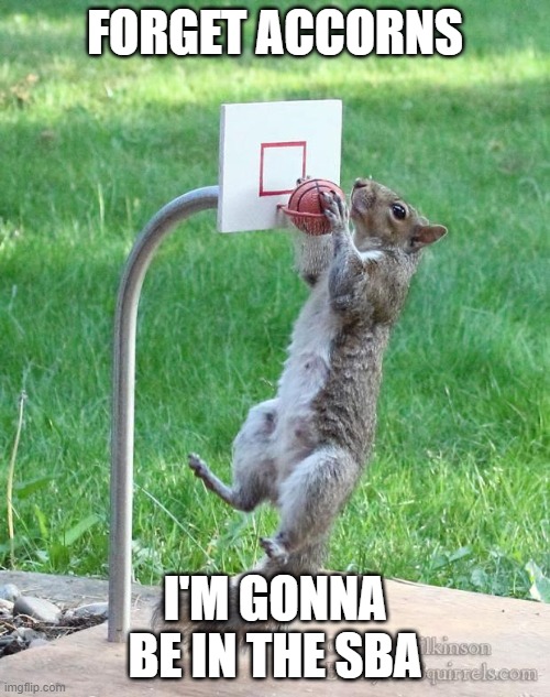 Squirrel Basketball Association | FORGET ACCORNS; I'M GONNA BE IN THE SBA | image tagged in squirrel basketball | made w/ Imgflip meme maker