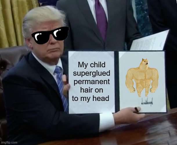 Trump Bill Signing | My child superglued permanent hair on to my head | image tagged in memes,trump bill signing | made w/ Imgflip meme maker