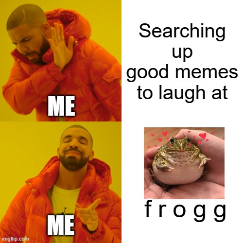 Frogg | Searching up good memes to laugh at; ME; f r o g g; ME | image tagged in memes,drake hotline bling,frogs | made w/ Imgflip meme maker