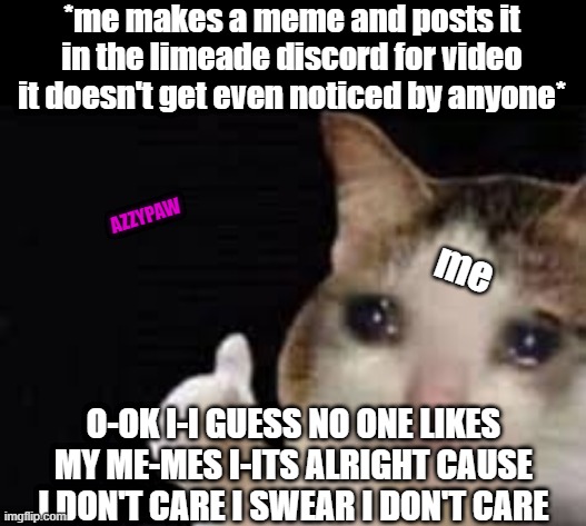 Crying Cat with Thumbs up | *me makes a meme and posts it in the limeade discord for video it doesn't get even noticed by anyone*; me; AZZYPAW; O-OK I-I GUESS NO ONE LIKES MY ME-MES I-ITS ALRIGHT CAUSE I DON'T CARE I SWEAR I DON'T CARE | image tagged in crying cat with thumbs up | made w/ Imgflip meme maker