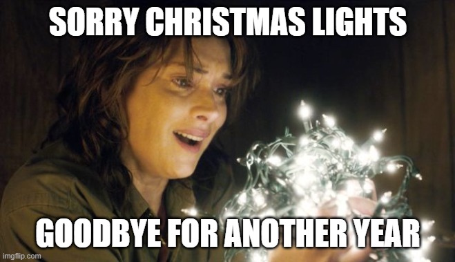 Stranger Things | SORRY CHRISTMAS LIGHTS; GOODBYE FOR ANOTHER YEAR | image tagged in stranger things | made w/ Imgflip meme maker