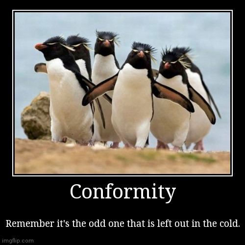 Penguins are so cute... And support bullies. | image tagged in funny,demotivationals | made w/ Imgflip demotivational maker