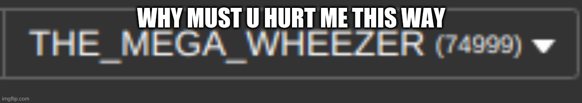 why | WHY MUST U HURT ME THIS WAY | image tagged in why must you hurt me in this way | made w/ Imgflip meme maker