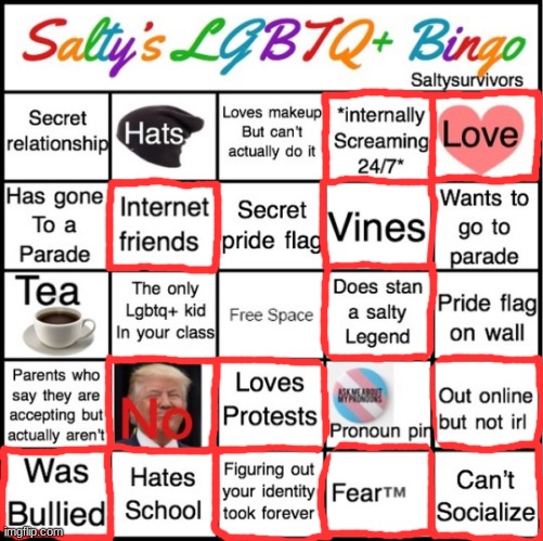 not quite a bingo... | image tagged in the pride bingo,lgbtqia | made w/ Imgflip meme maker