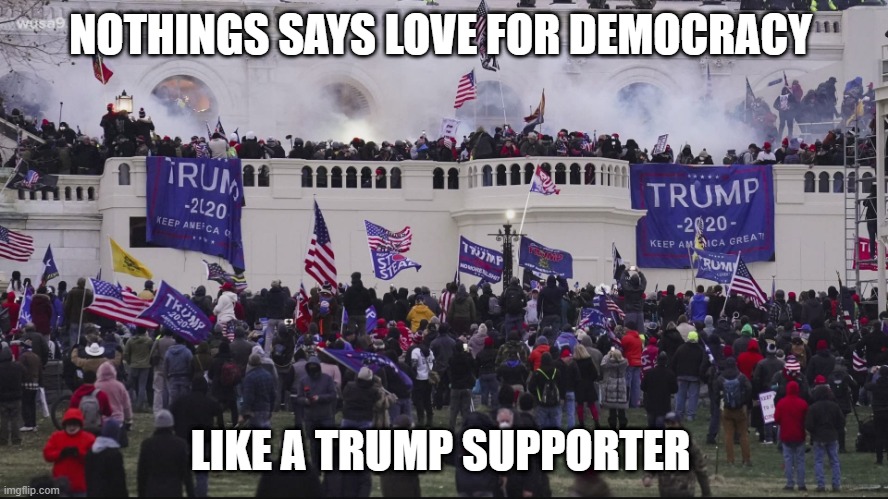 Trump supporters - hypocrites, domestic terrorist and cult followers | NOTHINGS SAYS LOVE FOR DEMOCRACY; LIKE A TRUMP SUPPORTER | image tagged in republicans,donald trump,trump supporters,riots | made w/ Imgflip meme maker