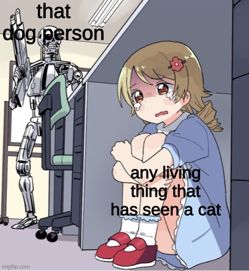 Anime Girl Hiding from Terminator | that dog person; any living thing that has seen a cat | image tagged in anime girl hiding from terminator | made w/ Imgflip meme maker
